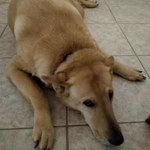 Meet your Posher, Ray